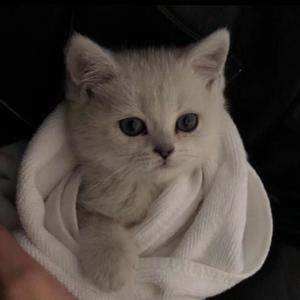 亚洲AV㊙️无码相泽南高桥
